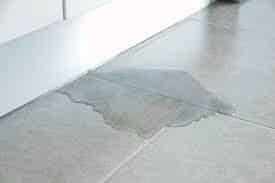 Slab Leaks image