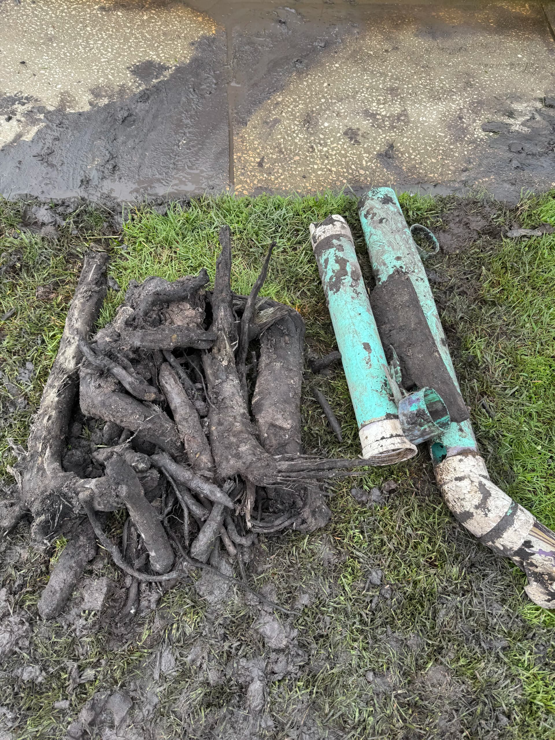 Tree Roots Destroyed This Sewer Line - Here's What We Pulled Out image