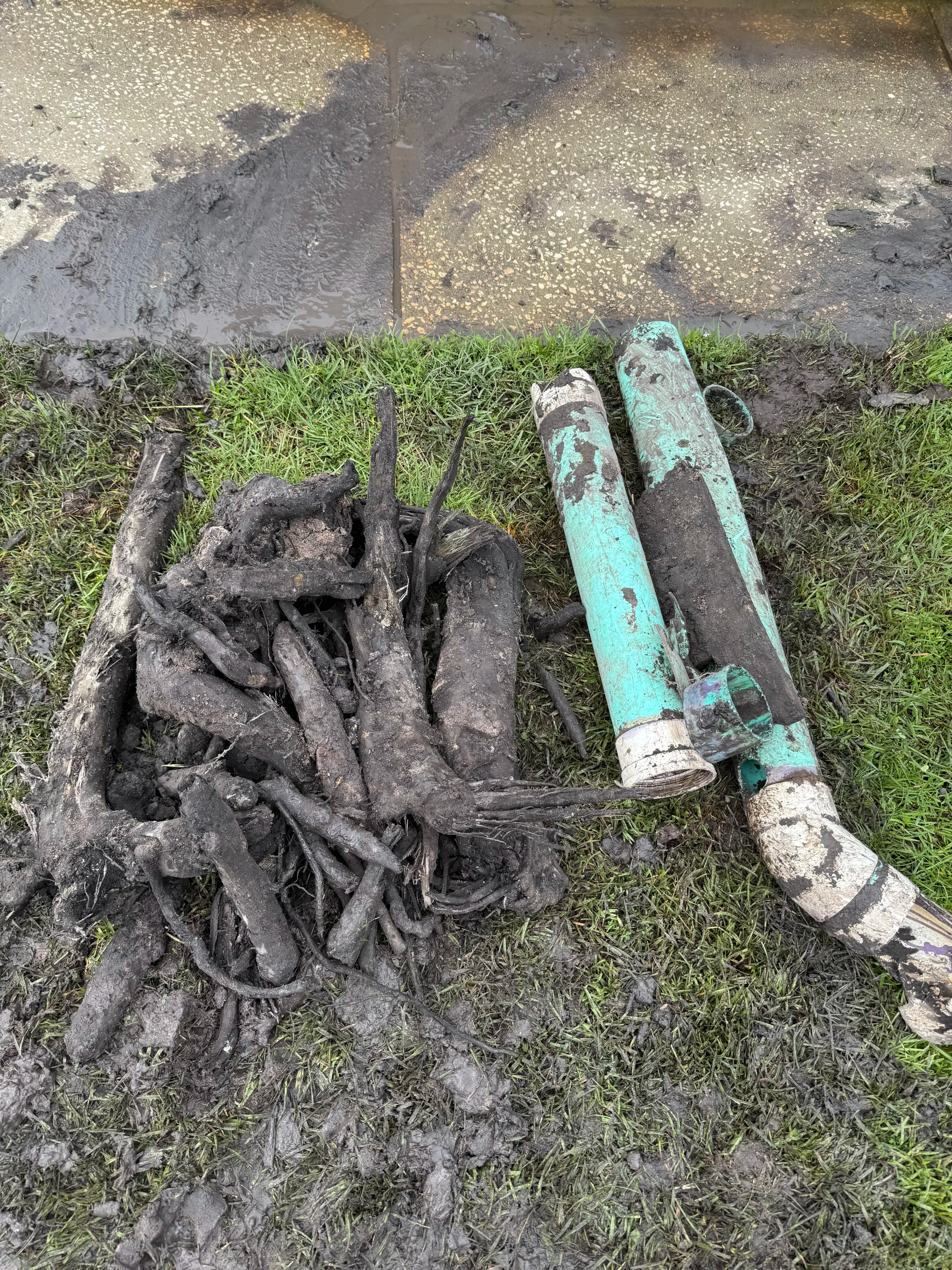 Project Tree Roots Destroyed This Sewer Line - Here's What We Pulled Out image